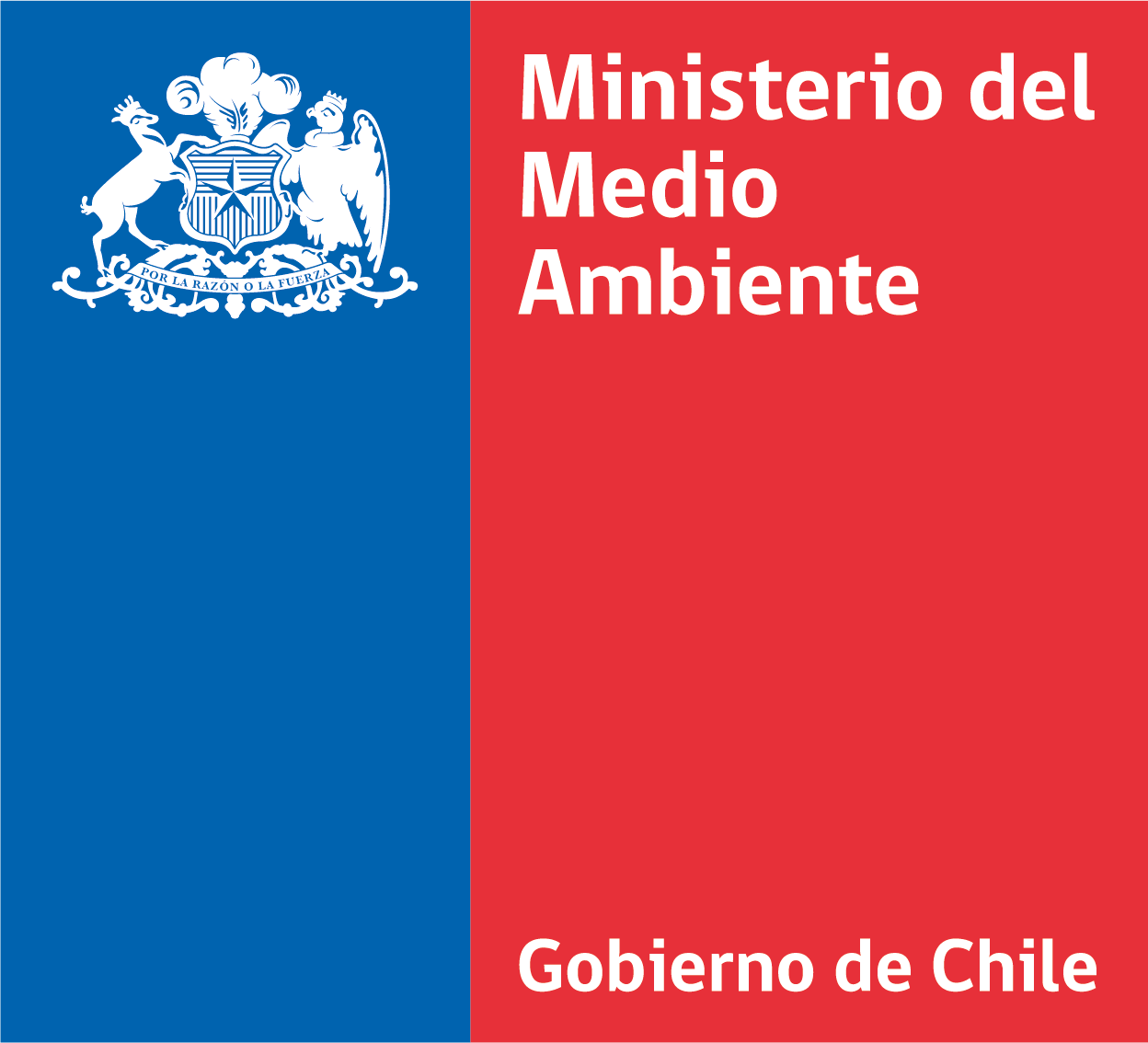 Cliente 102