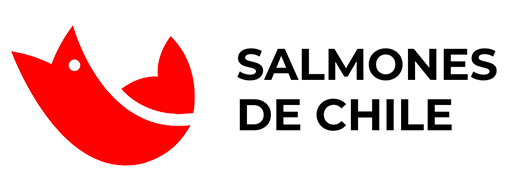 Cliente 81